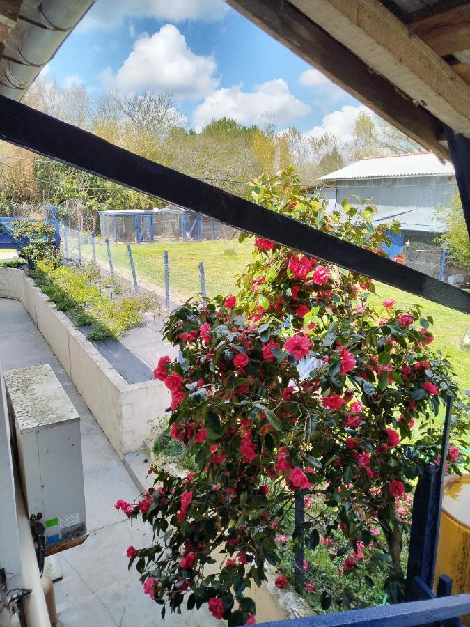Gite Du Gardoir Boresse-et-Martron ภายนอก รูปภาพ